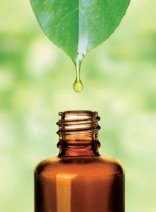 Seabuckthorn Secret Oil for Great Skin